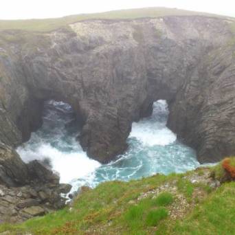 a rocky river with trees on the side of a mountain