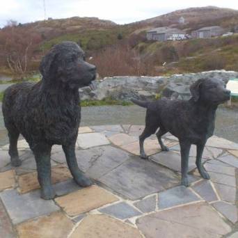 a herd of sheep walking down a street