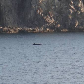 a large body of water