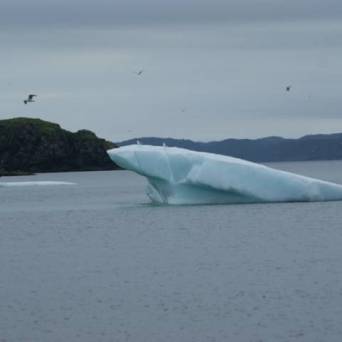 a large body of water