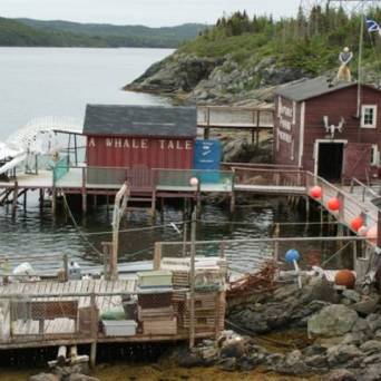 a wooden boat in a body of water