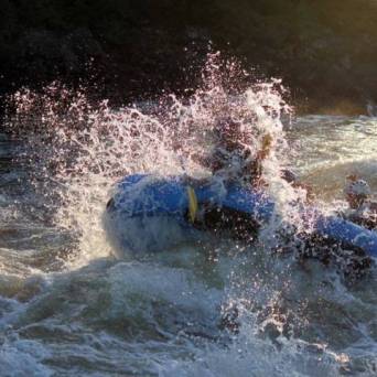 a person riding a bear in a body of water