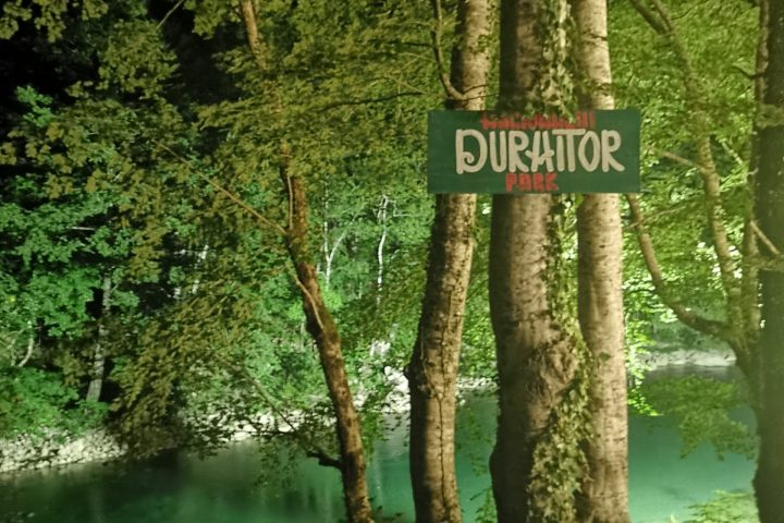 a sign on the side of a river next to a tree