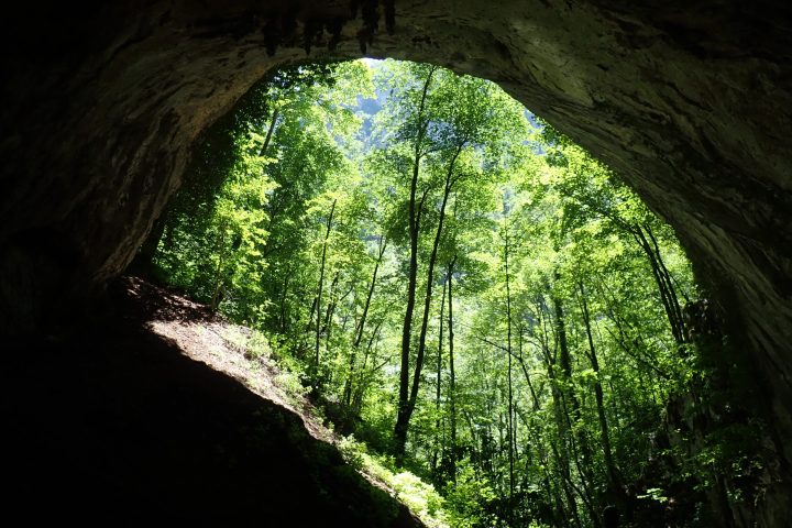 Cave in Tara Canyon