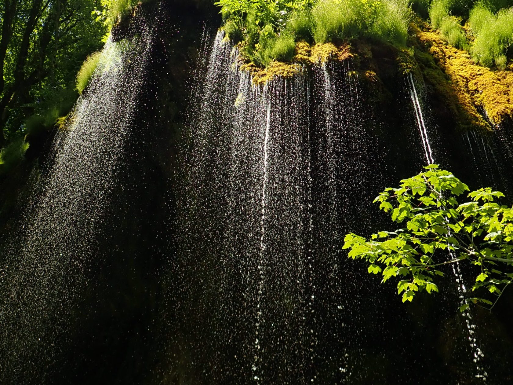 Natural shower in Tara canyon
